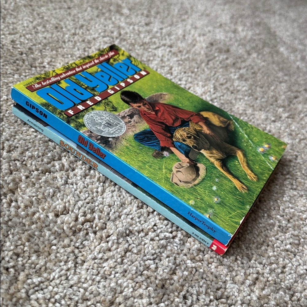 Chapter Books (2) - Picture 4 of 4